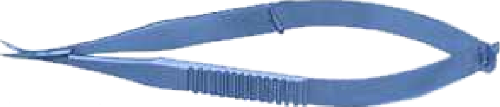 Iris Scissors